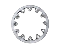 Super Duplex Steel Lock Washer